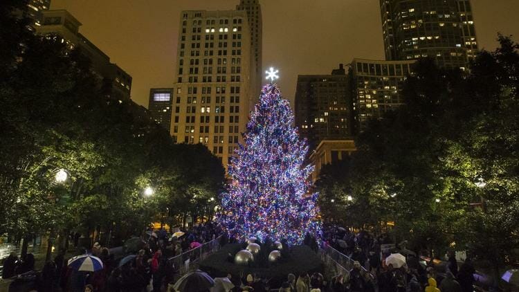 chicago christmas tree
